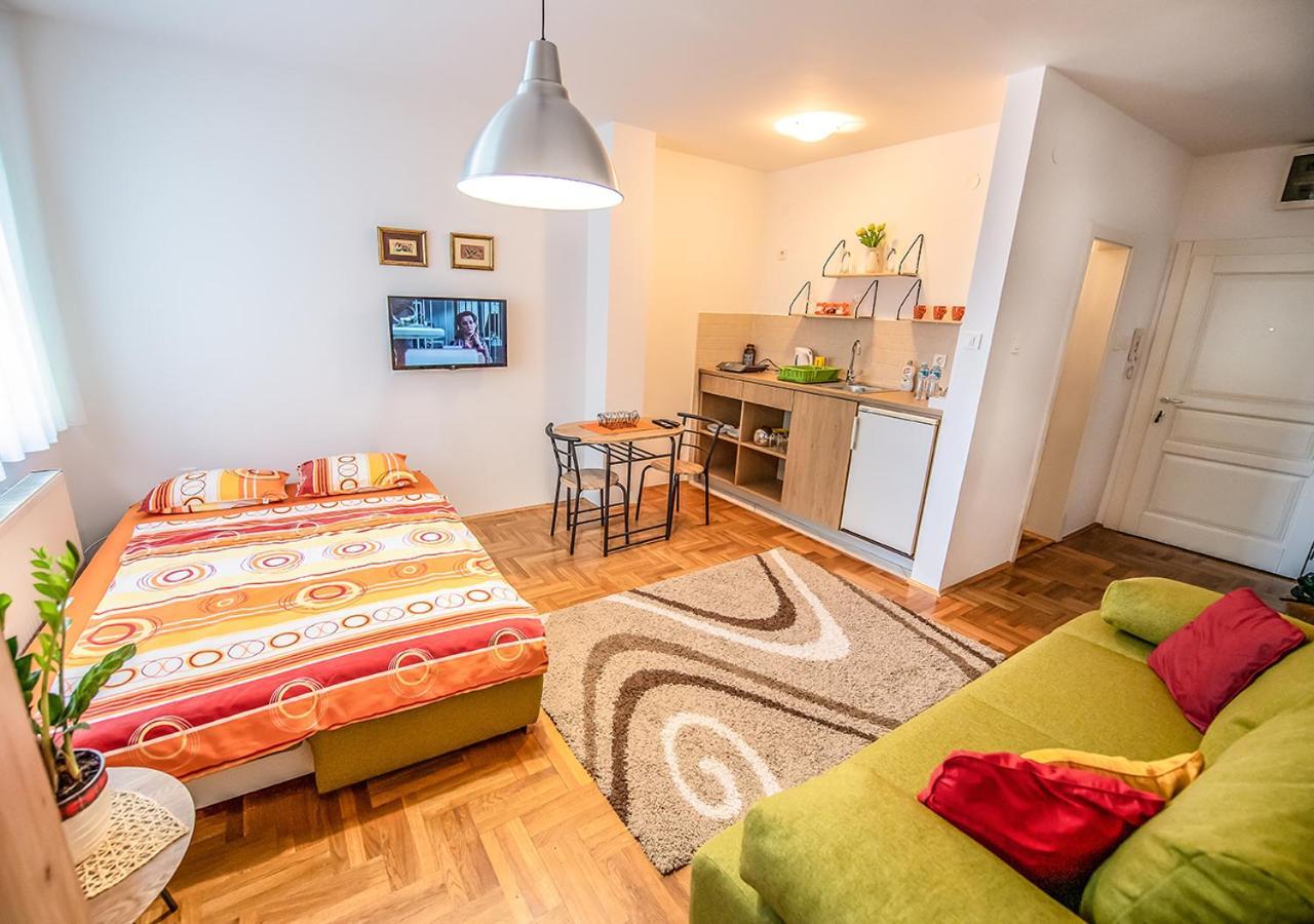 Mina Penthouse Apartment Novi Sad Exterior photo