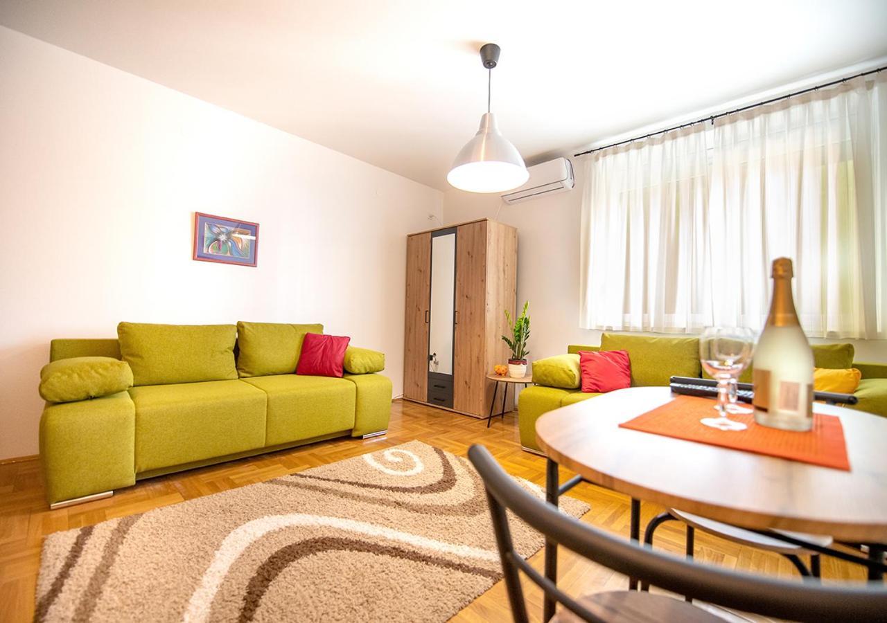 Mina Penthouse Apartment Novi Sad Exterior photo